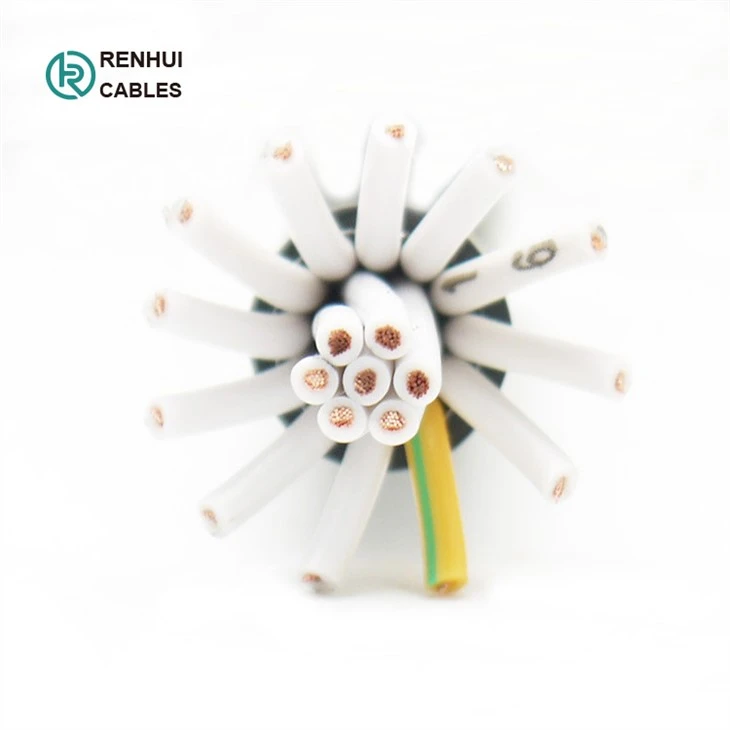 control cable (22)